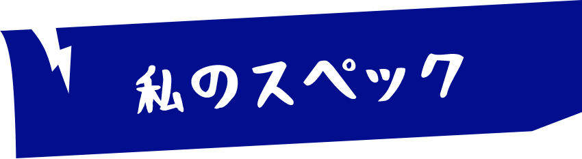私のスペック