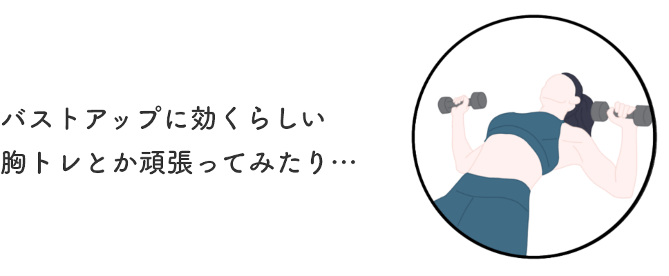 バストアップに効くらしい胸トレとか頑張ってみたり…