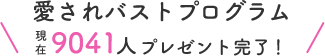 愛されバストプログラム
