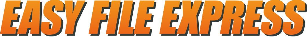  EASY FILE EXPRESS 