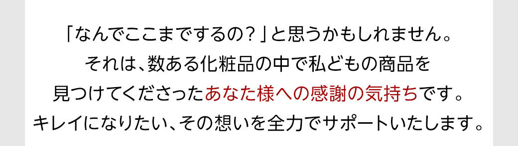 つまり実質無料で30日間じっくりお試しできます