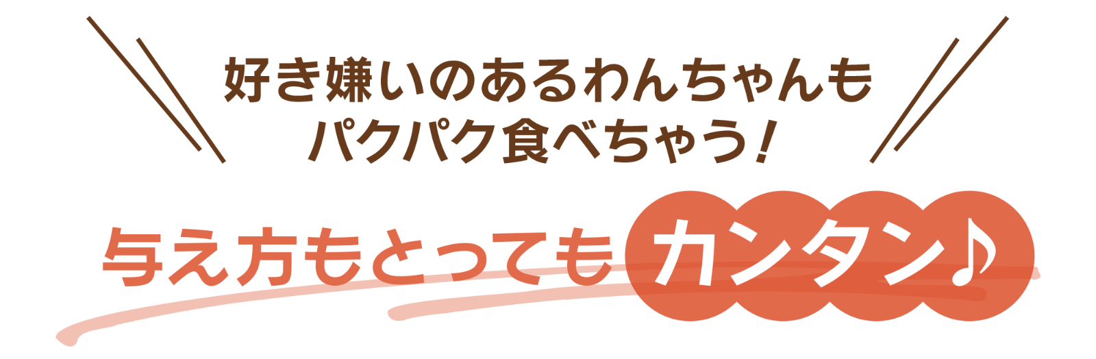与え方も簡単！