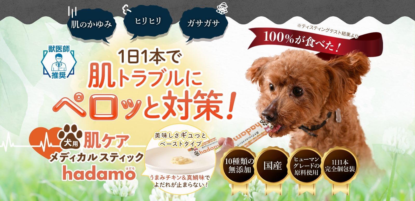 わんちゃんの痒み・炎症対策！