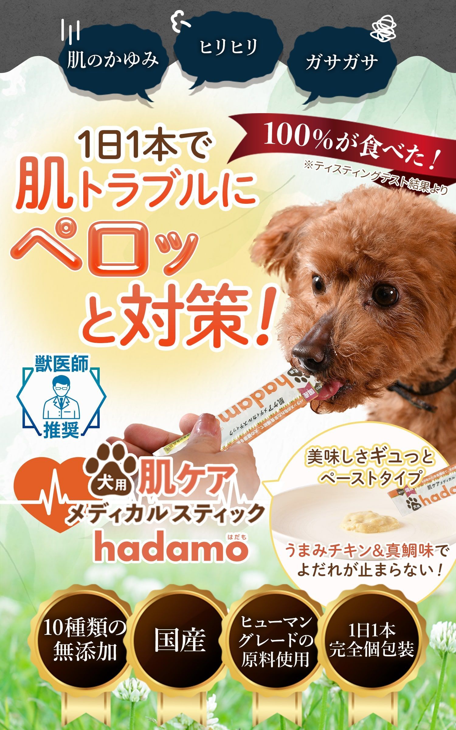 わんちゃんの痒み・炎症対策！