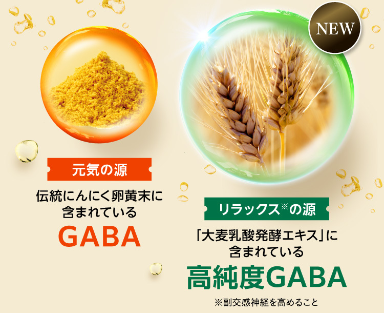 NEW 元気の源 伝統にんにく卵黄末に含まれているGABA リラックス※の源 「大麦乳酸発酵エキス」に含まれている高純度GABA ※副交感神経を高めること