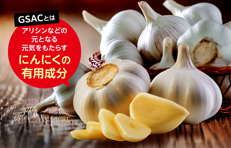 GSACとはアリシンなどの元となる元気をもたらすにんにくの有用成分