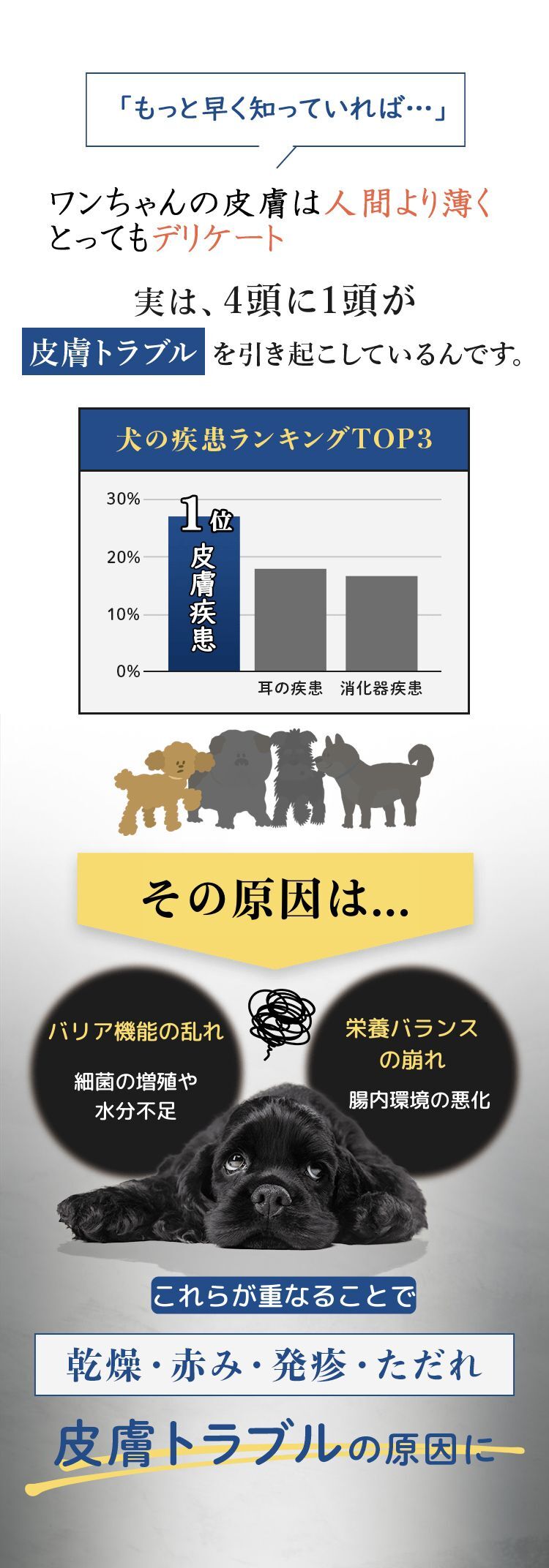 もっと早く知っていれば…