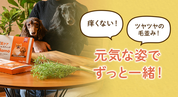 元気な姿でずっと一緒！