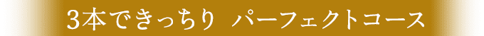きっちり３本パーフェクトコース