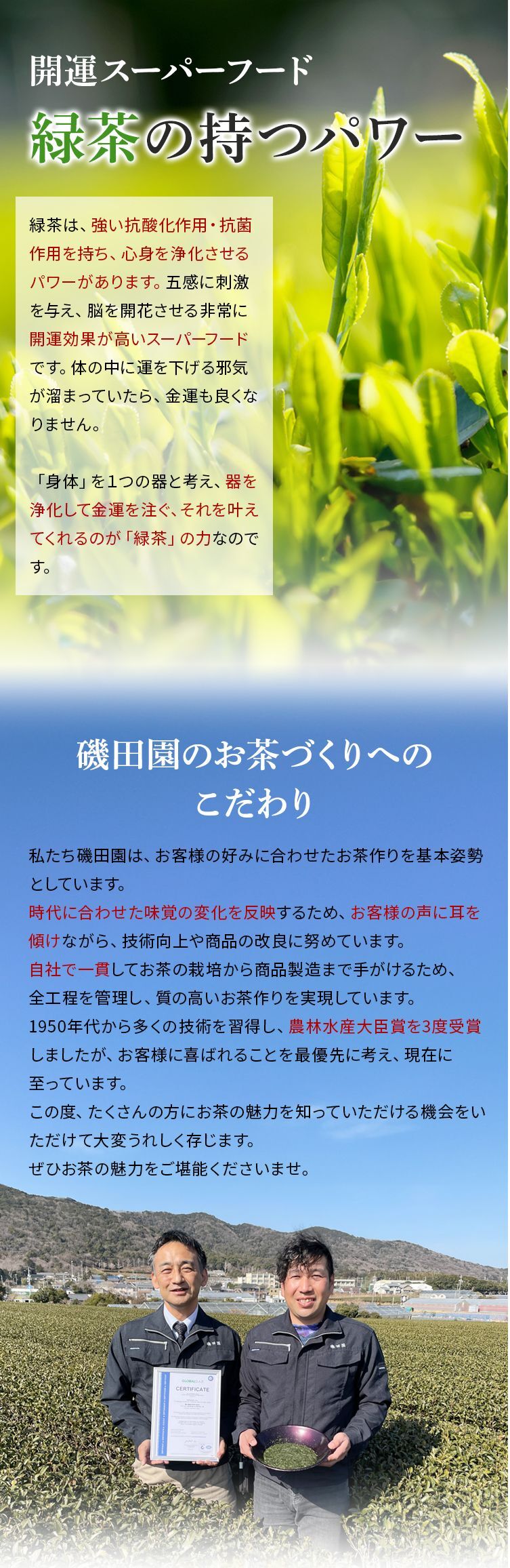 開運スーパーフード、緑茶の持つパワー