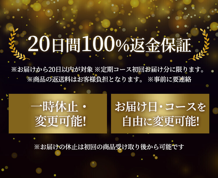 20日間100%返金保証