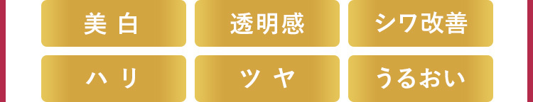 美白 透明感 シワ改善 ハリ ツヤ うるおい
