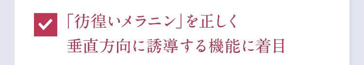 「彷徨いメラニン」を正しく 垂直方向に誘導する機能に着目