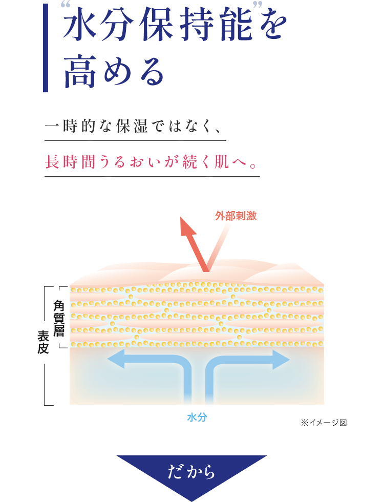 水分保持機能を高める一時的な保湿ではなく、長時間うるおいが続く肌へ。