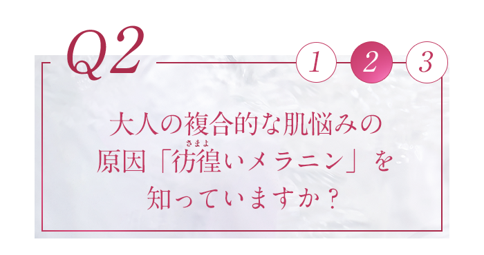設問文・Q2