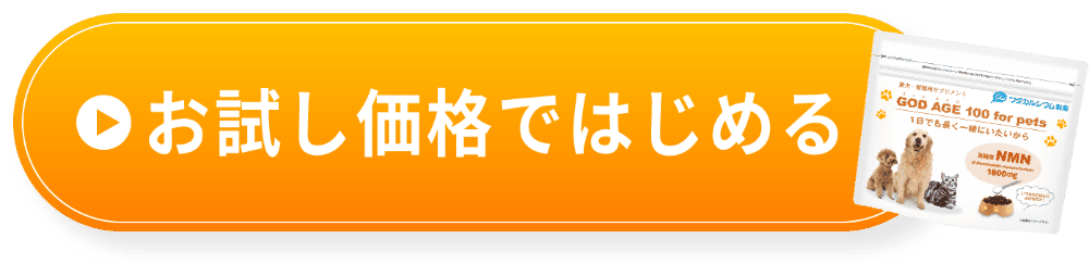 お試し価格ではじめる