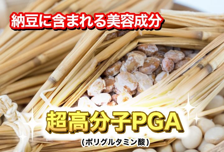 画像の説明が入ります