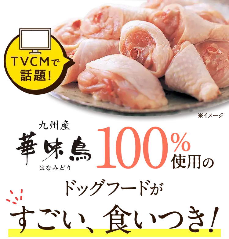 TVCMで 話題! 博多 華味鳥 100%使用のドッグフードがすごい、食いつき!
