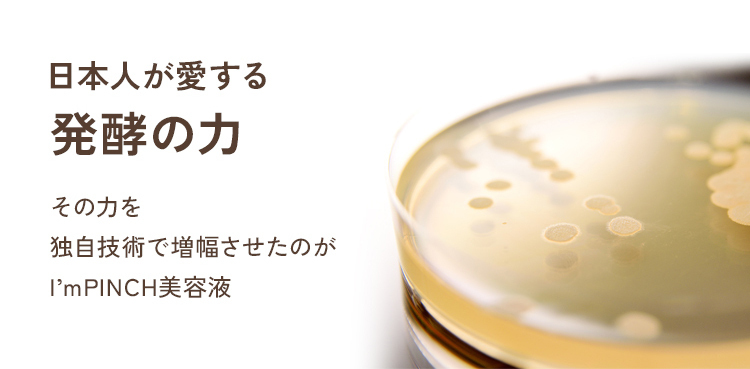 日本人が愛する発光の力