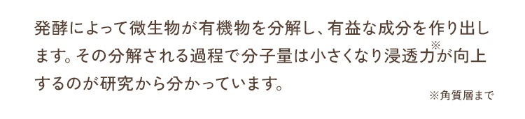 動画の説明