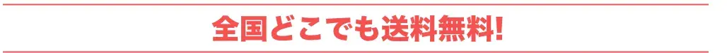 全国どこでも送料無料!