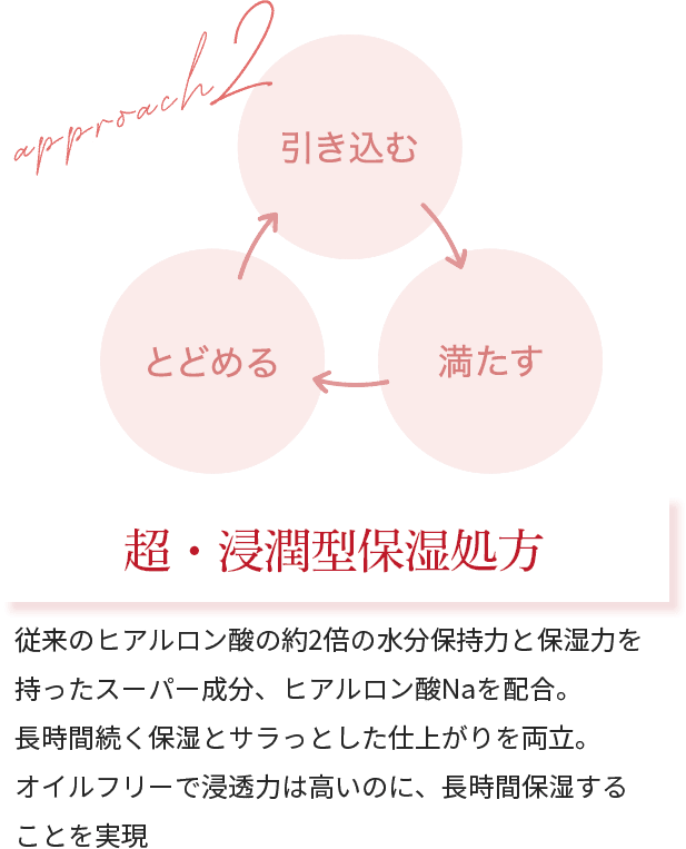 超・浸透型保湿処方