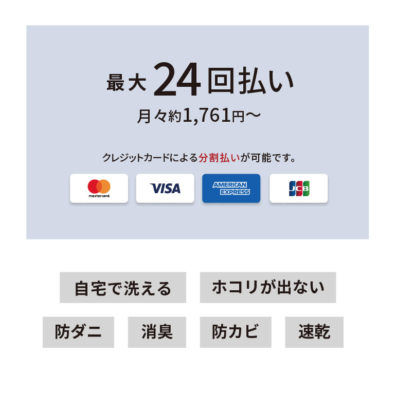 24回クレジット AmazonPayなし