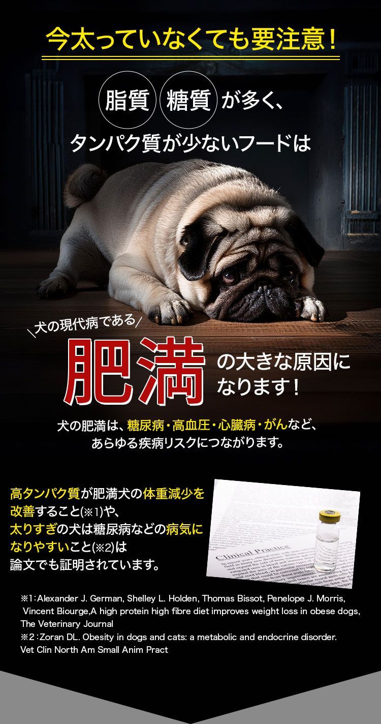 肥満の大きな原因
