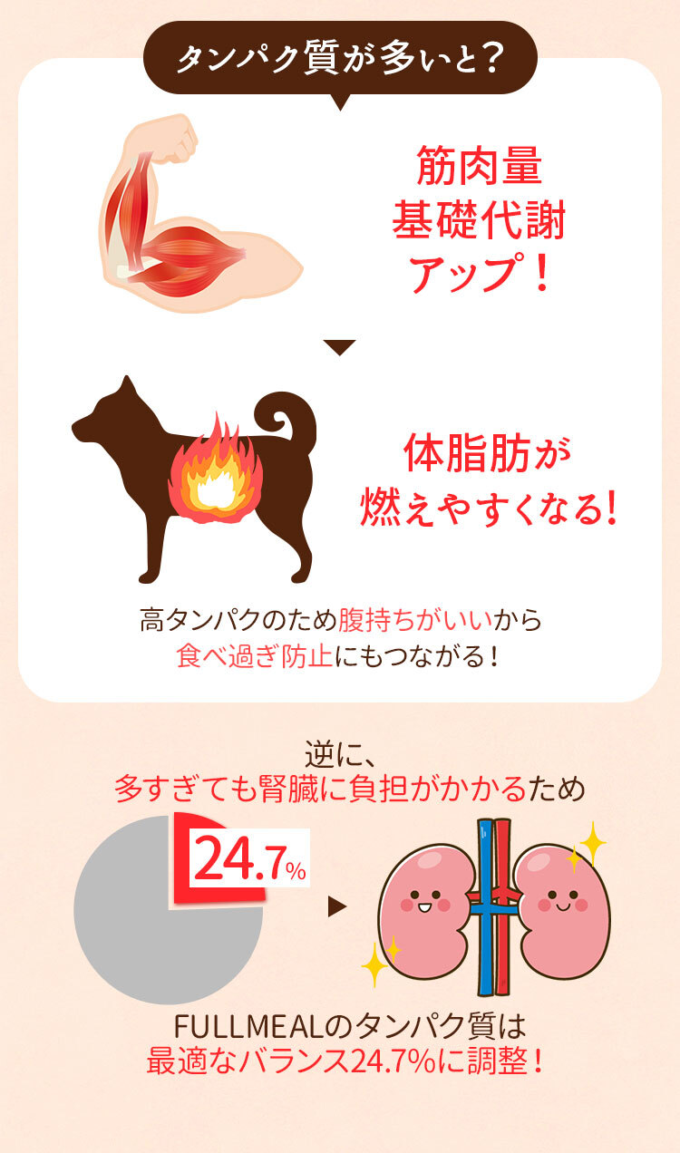 タンパク質が多いと？