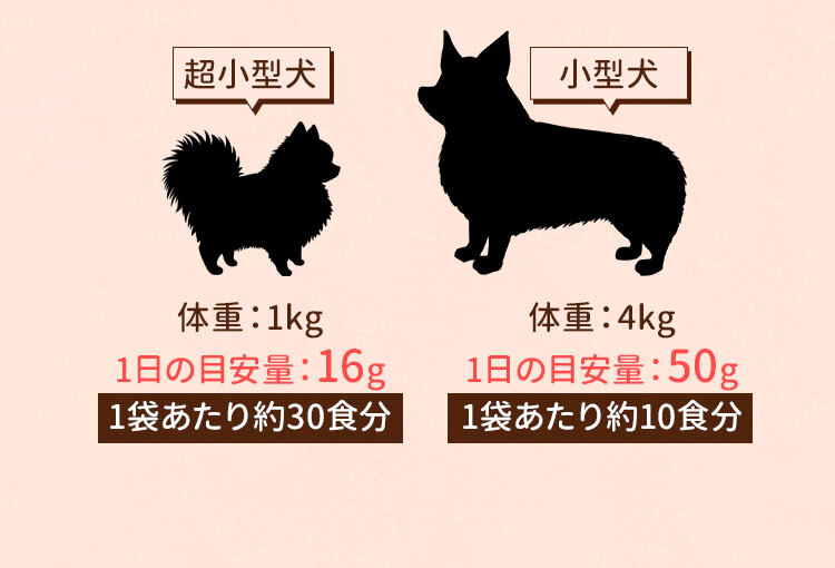 超小型犬と小型犬との比較