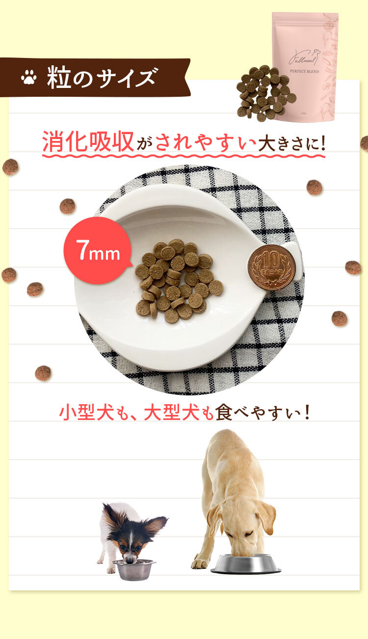 粒のサイズ