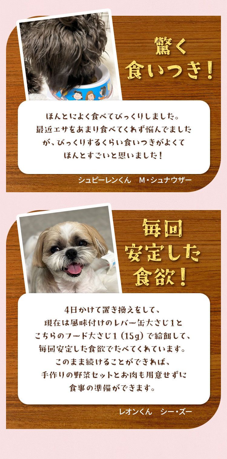 驚く食いつき！毎回安定した食欲！