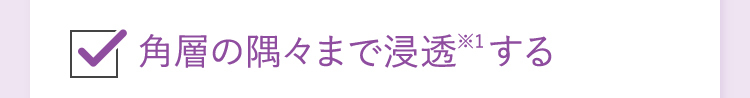 角層の隅々まで浸透※1する