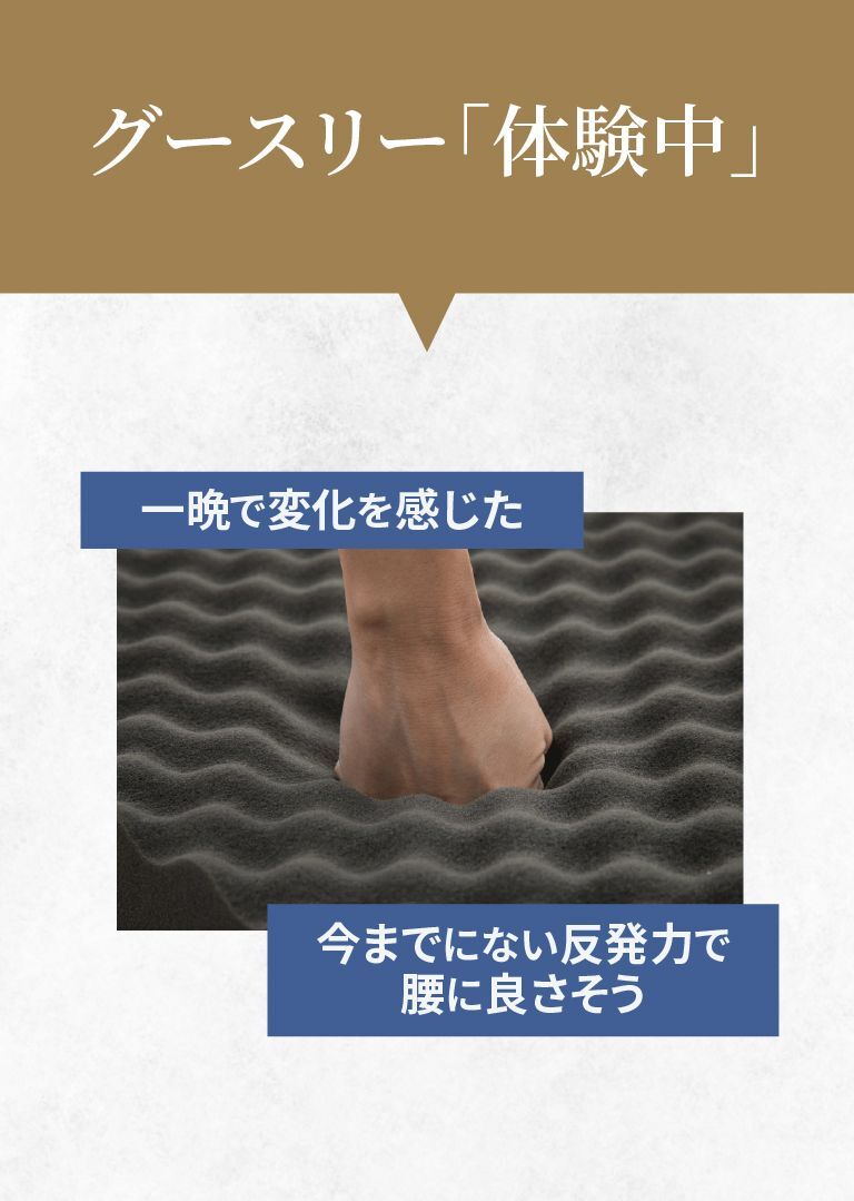 グースリー体験中