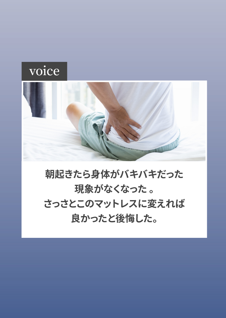 voice2