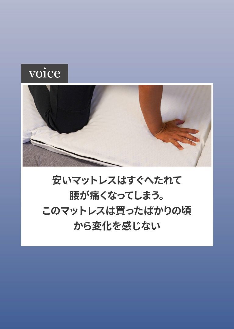 voice1
