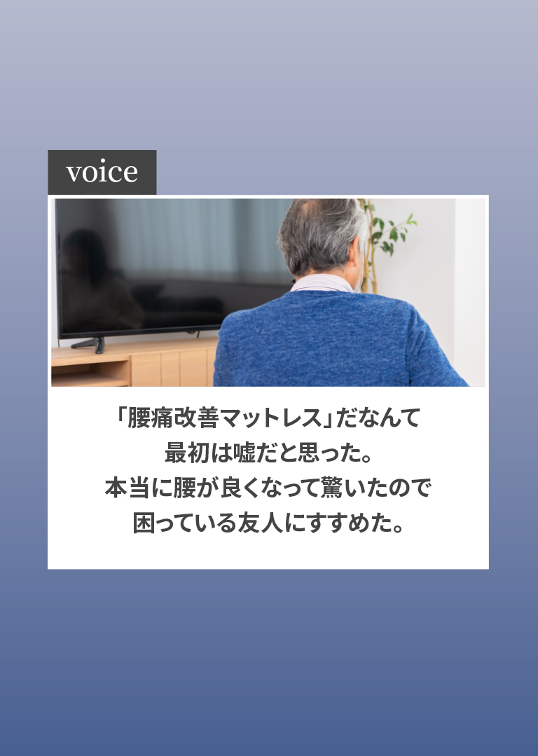 voice3