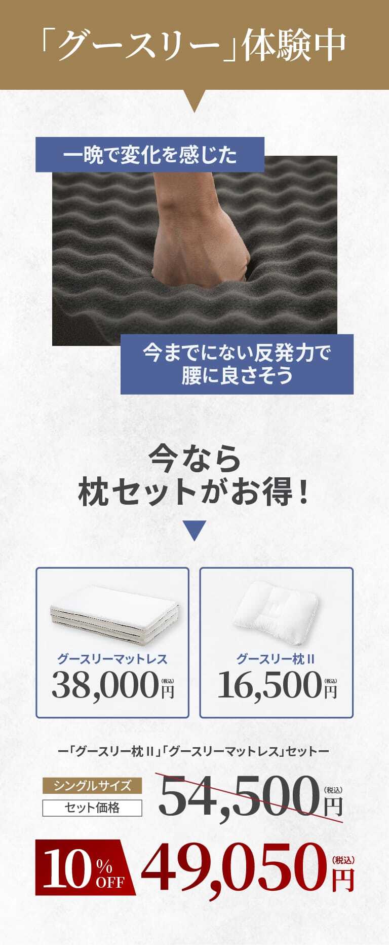 グースリー体験中