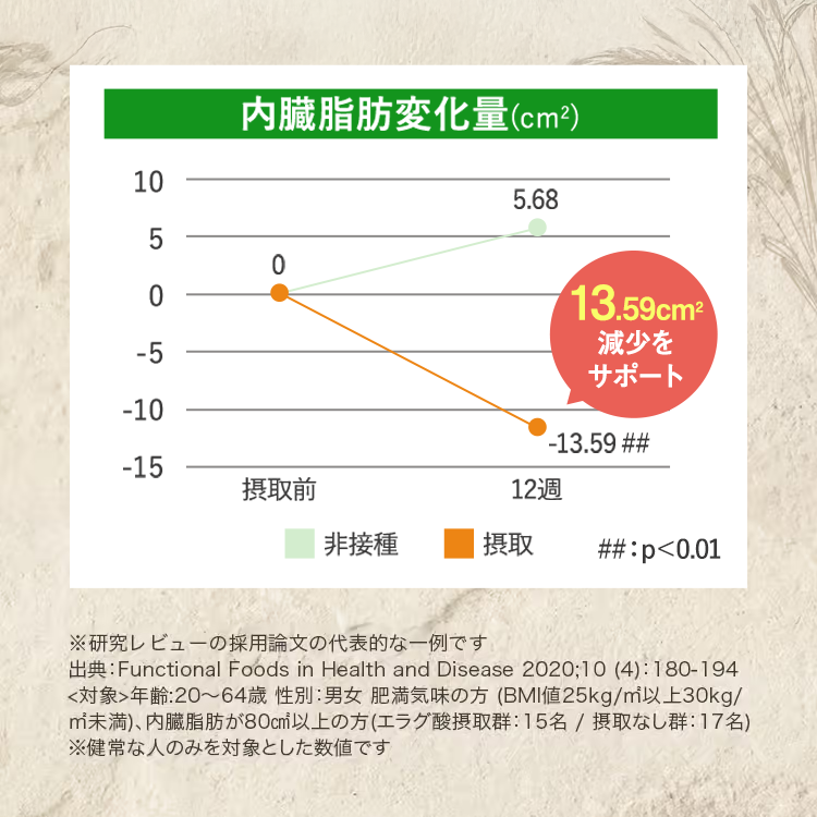 内臓脂肪変化量グラフ