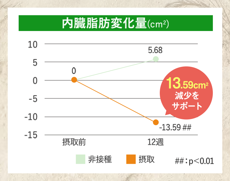 内臓脂肪変化量