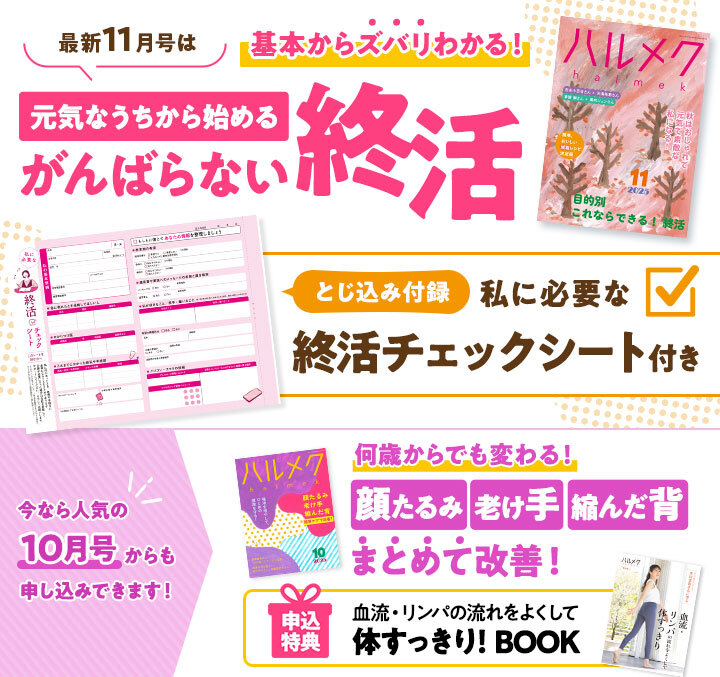 最新11月号は基本からズバリわかる!元気なうちから始めるがんばらない終活