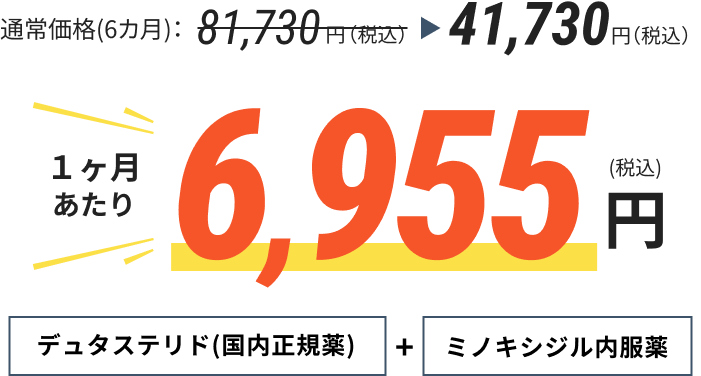 1ヶ月あたり6,955円(税込)