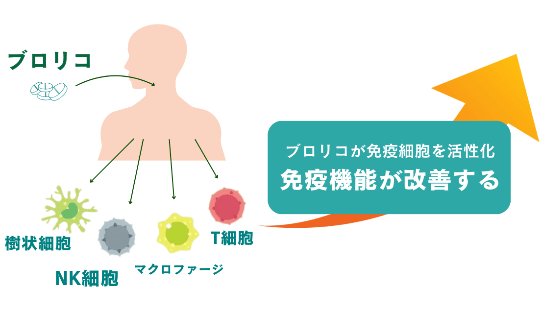 免疫をなんとかしたい。でも…始めるのも続けるのも難しい。