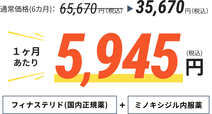 通常価格(6カ月)：65670円→35,670（税込み）