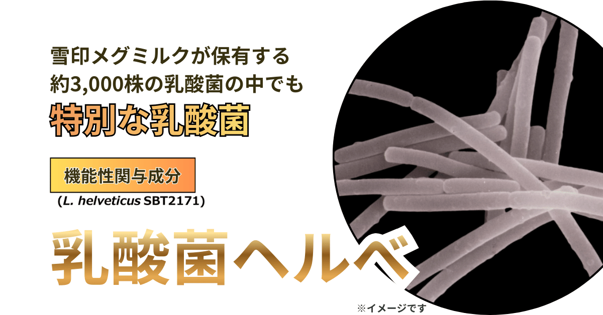雪印保有の3,000株の中から発見された特別な乳酸菌ヘルべの写真