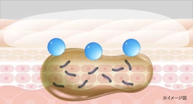 バイオフィルム破壊アニメーション｜カカるるん