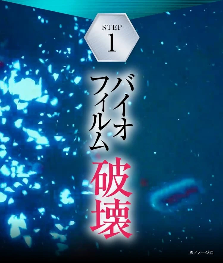 バイオフィルム破壊｜カカるるん