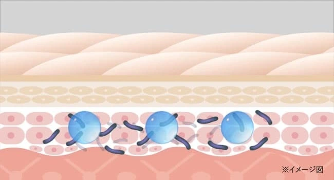 有効成分が奥深くまで浸透し水虫の原因菌をくまなく殺菌｜カカるるん