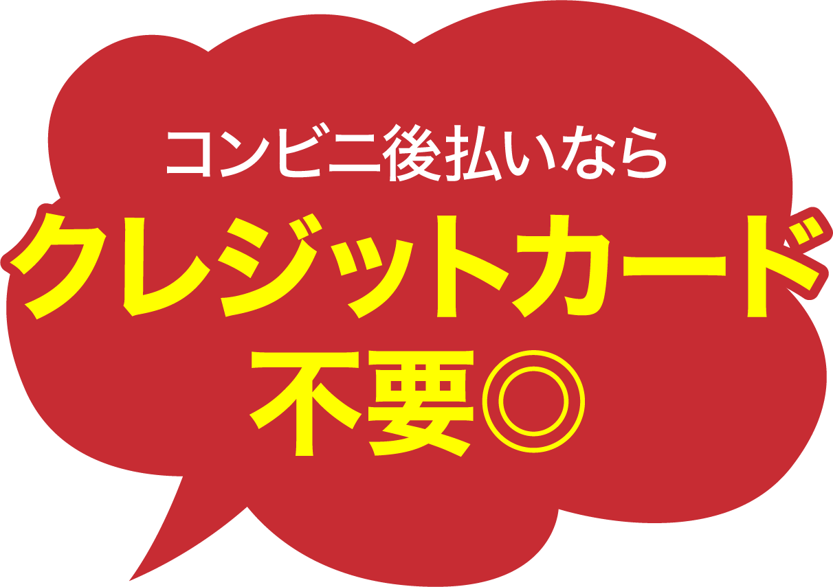 受け取り後の支払いでOK