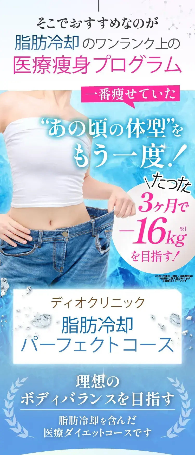 ディオクリニック脂肪冷却パーフェクトコース